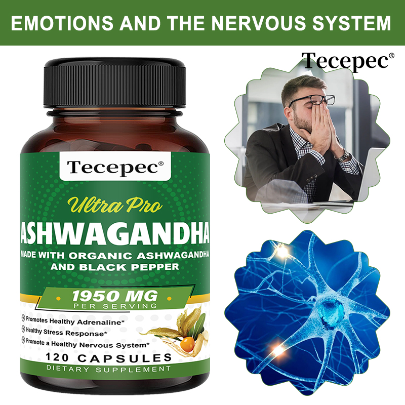 Ashwagandha Extract Root - Capsule di Estratto di Radice di
